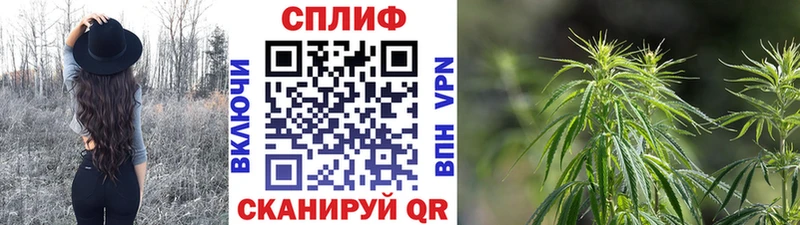 МАРИХУАНА THC 21%  Дубовка 